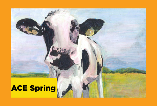 a black and white spotted cow looks directly at the painter with a pasture in the background