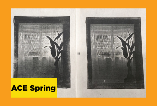 a black and white screenprint of a plant silouetted against a window