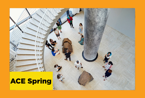 aerial view of a spiraling grand staircase in the art institute of chicago looking down at people looking at seemingly rocks