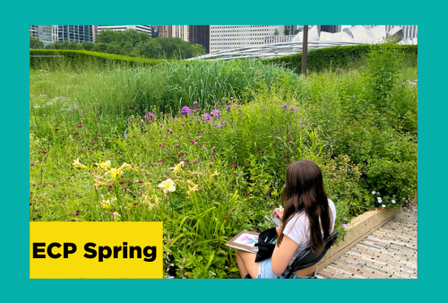 a young girl draws in her sketchbook surrounded by wildflowers in downtown chicago at the school of the art instiute