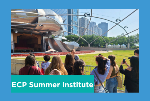 a class of students view the stage at millenium park