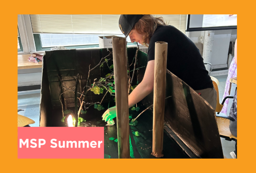 a student sets up a stage to film their animation project