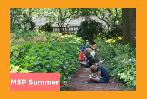 students draw in the sculpture garden of the art institute