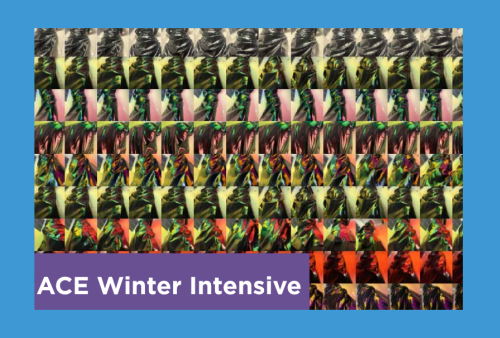 winter color theory