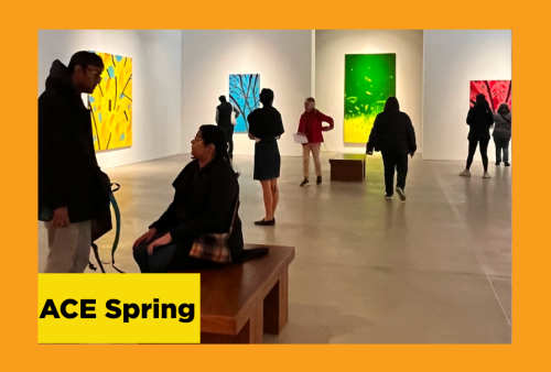 People standing inside an art gallery looking at art