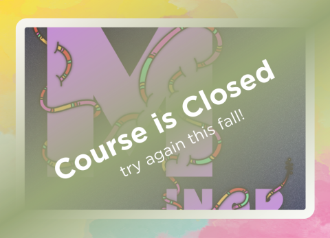 ace-illustrator-summer-2025-closed
