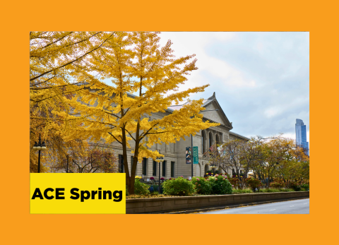 the art institute of chicago museum in the spring time with yellow leaves blooming in the sculpture garden
