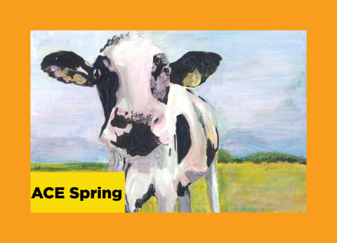 a black and white spotted cow looks directly at the painter with a pasture in the background