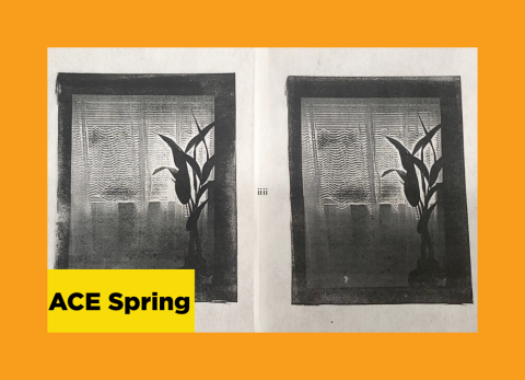a black and white screenprint of a plant silouetted against a window