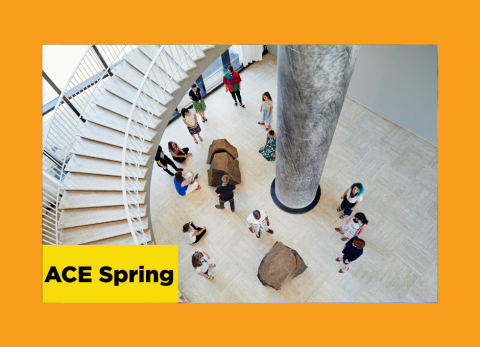 aerial view of a spiraling grand staircase in the art institute of chicago looking down at people looking at seemingly rocks