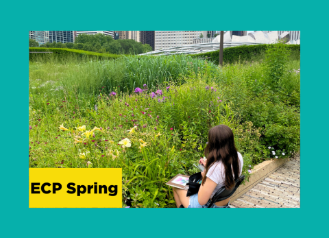 a young girl draws in her sketchbook surrounded by wildflowers in downtown chicago at the school of the art instiute