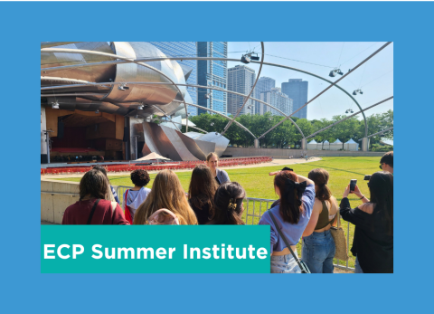 a class of students view the stage at millenium park
