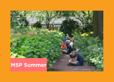 students draw in the sculpture garden of the art institute