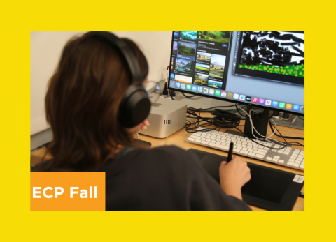 ecp animation