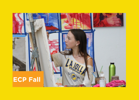 draw to paint ecp fall
