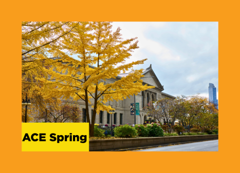 The front facade of the Art Institute museum with fall trees in front